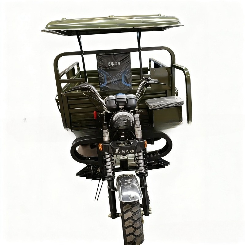 Strong power fuel tricycle wat - Power Tools King 评论和价格